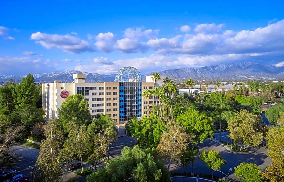 Bonita Hotel | 3-Star Hotel ∙ Sheraton Hotel Fairplex & Conference Center