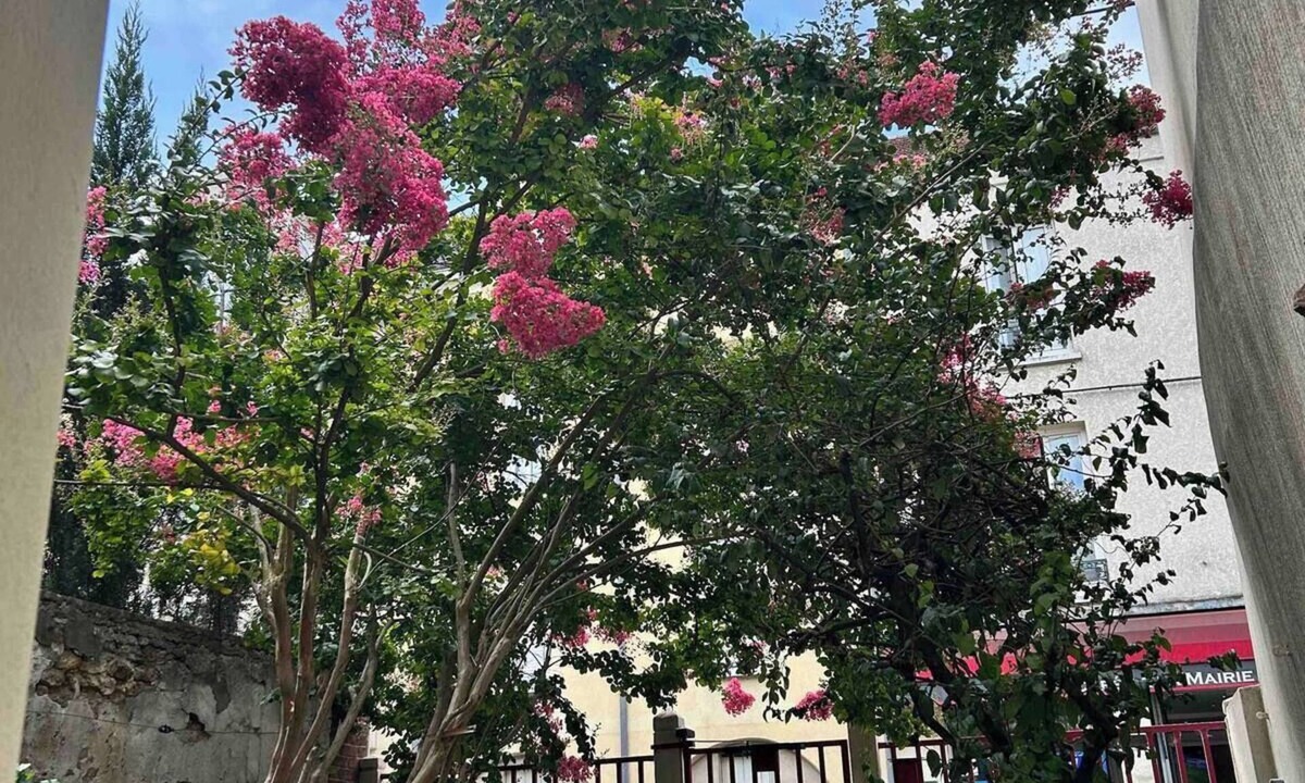 Quartier Centre Ville Apartment | Beautiful F2 Downtown Massy with garden