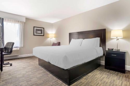 Bridge City Hotel | Best Western Bayou Inn