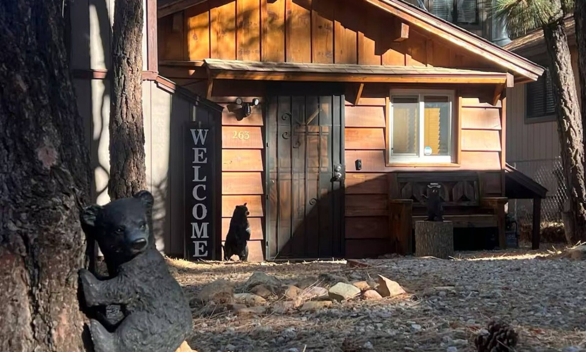 Woodlands Cabin | Cozy Bear Retreat + Hot-Tub & BBQ!