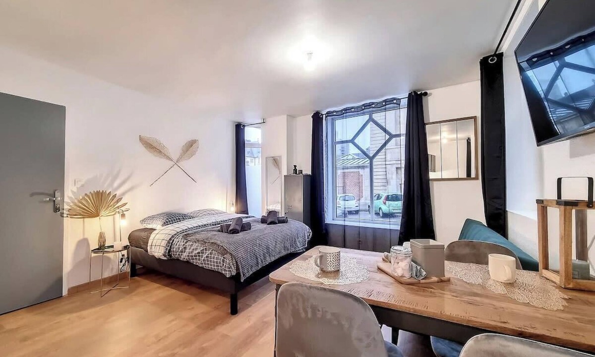 Quartier Pasteur Apartment | Déesse : studio tout confort