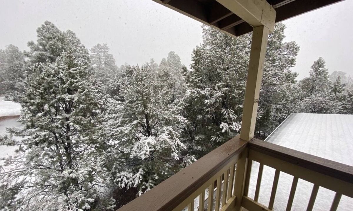 Heber Cabin | Dogs welcome - Gorgeous, Spacious Cabin in the Pines