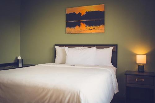 Amery Hotel | Forrest Inn