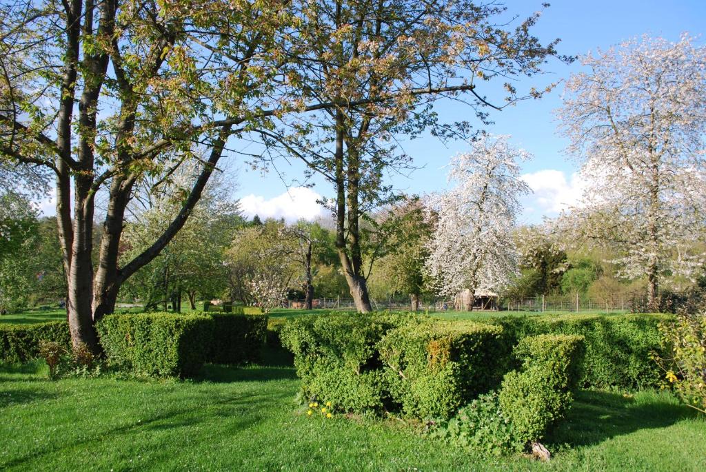 Le Plessis-Luzarches Apartment | Gites aux Fleurs de Cerises