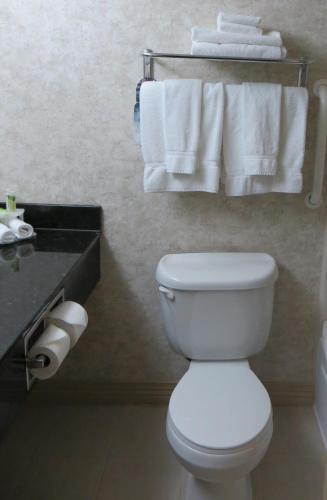 Picayune Hotel | Holiday Inn Express Hotel & Suites Picayune by IHG