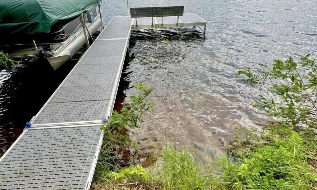 Markville House | Lake Minerva w/Dock bring boat on Trails
