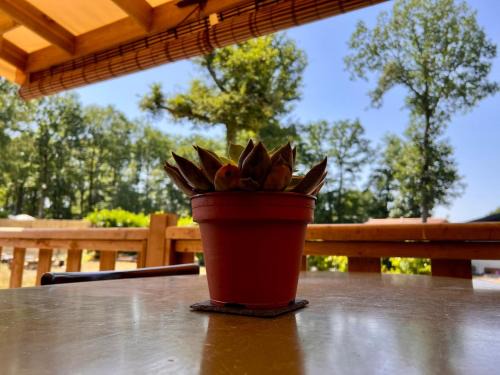 Marcilly-sur-Eure Ski Chalet | Le 423 du Domaine de Marcilly, Piscine, calme et nature