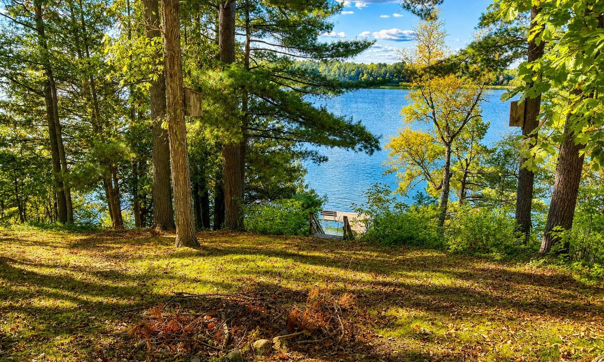 Walker Cabin | Leech Lake Cabin on Agency Narrows - Dock, Deck & 4-Season Access