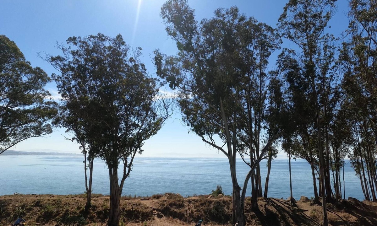 La Selva Beach Condo | Oceanfront 2-bedroom condo in delightful Capitola