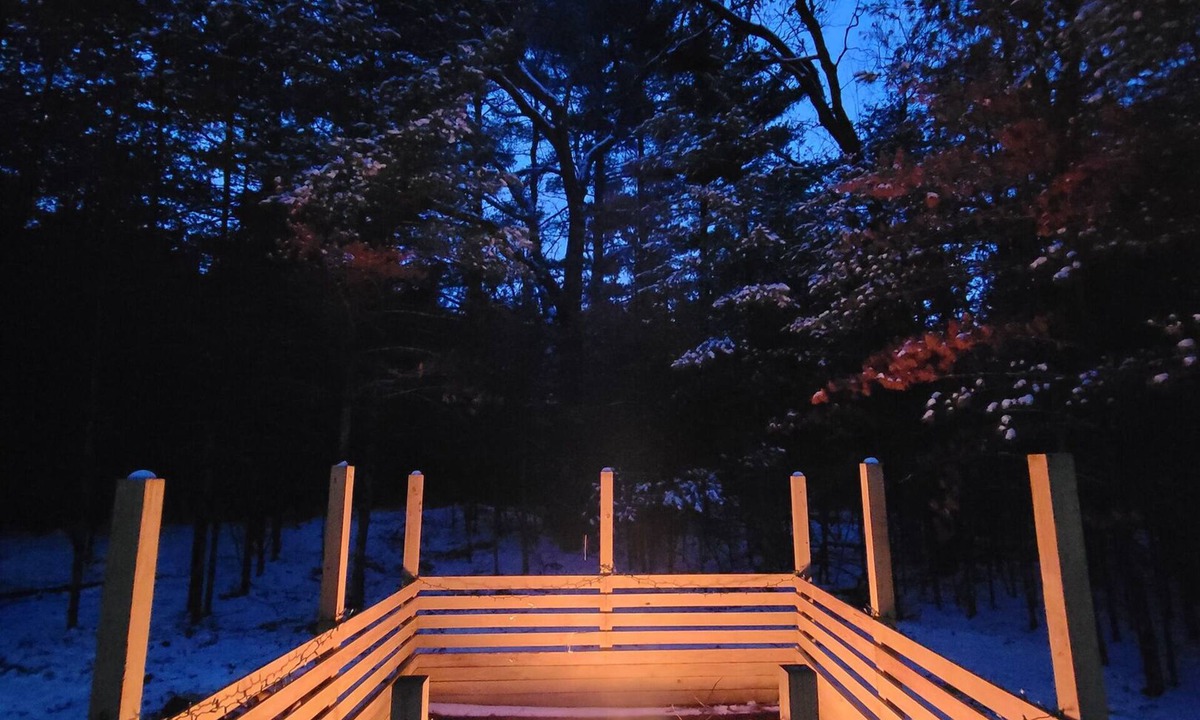 Arkdale House | Pickles Cabin - 2BR Forest Escape