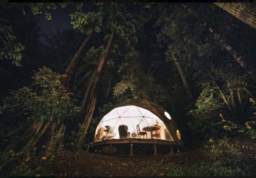 La Selva Beach House | Private Glamping Getaway in the Redwoods near Santa Cruz, California