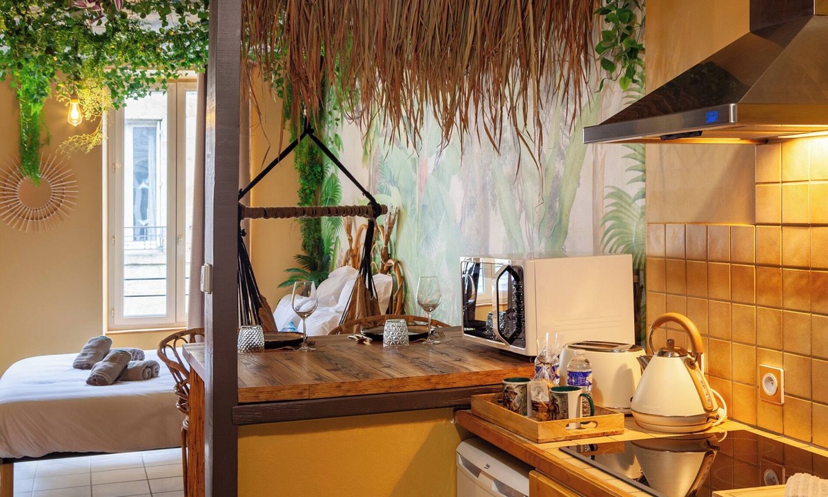 Vierzon Apartment | Private Spa with Jacuzzi & Massage in Vierzon - L'Aventurier