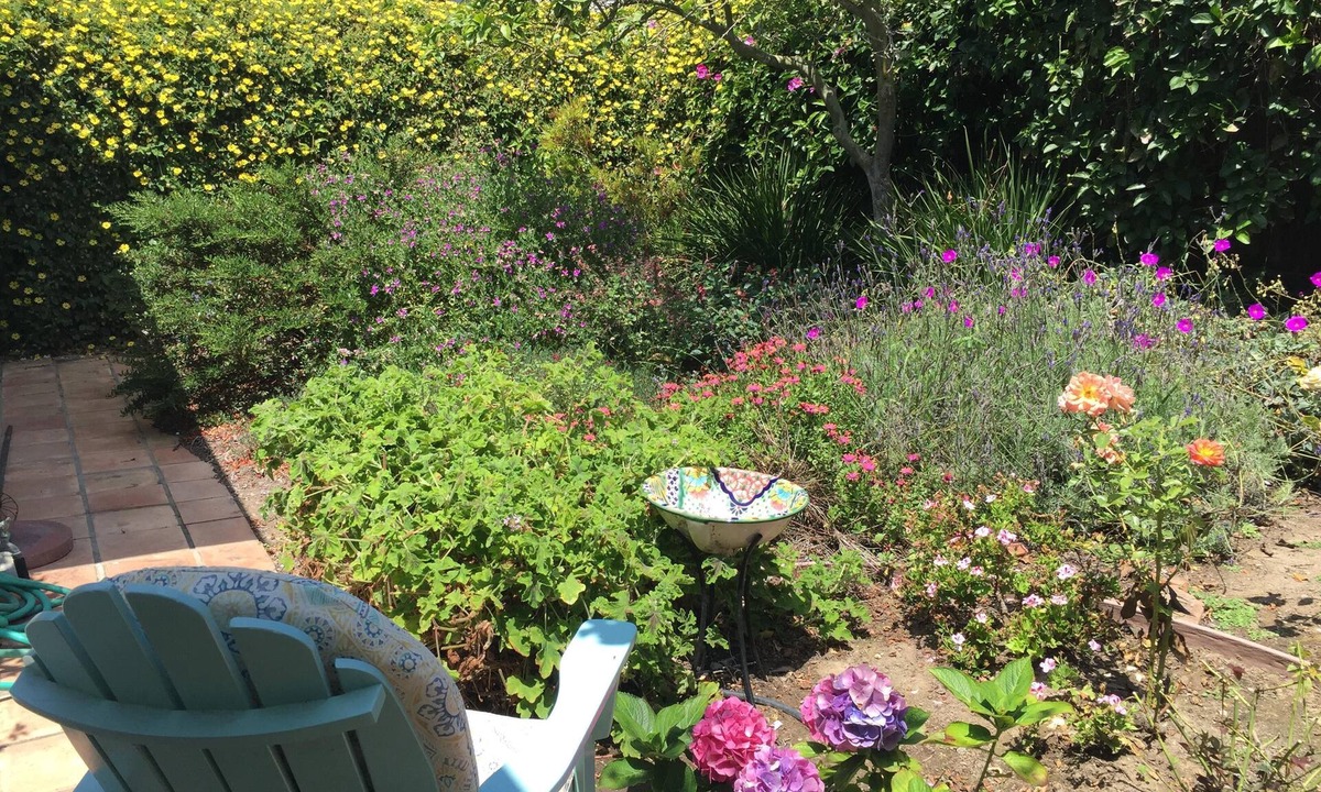 West Mesa House | Private Wing W/Pool, Close to ocean, 2br/2ba, Serene, Surrounded By Garden