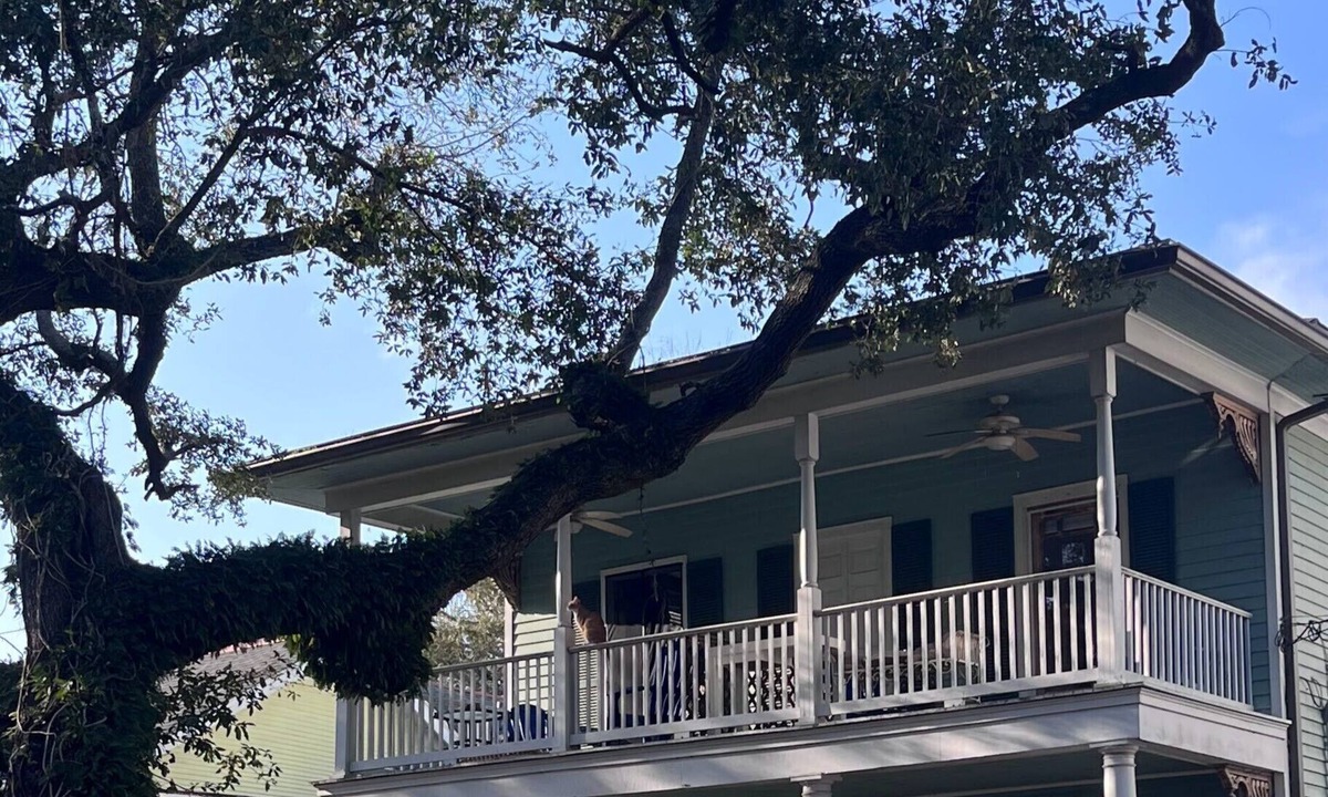 Broadmoor House | Quiet, Centrally located & Pet-Friendly 3-bed/2 1/2 bath house in New Orleans