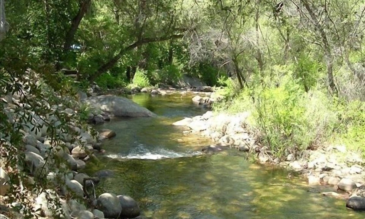 Three Rivers House | Riverfront Home with Large Deck on South Fork of Kaweah River