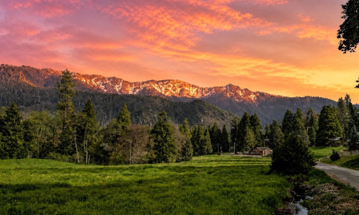 Camp Nelson Cabin | Sequoia Time Capsule: Spa, Walk 2 Giant Sequoias, River, Fish, Bike, Saloon