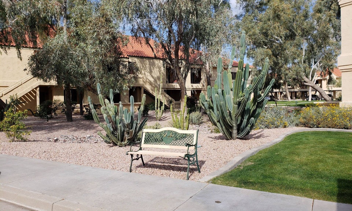 Scottsdale Ranch Condo | Spring Training, Tennis, Golf, or Relaxation, this is your happy place.