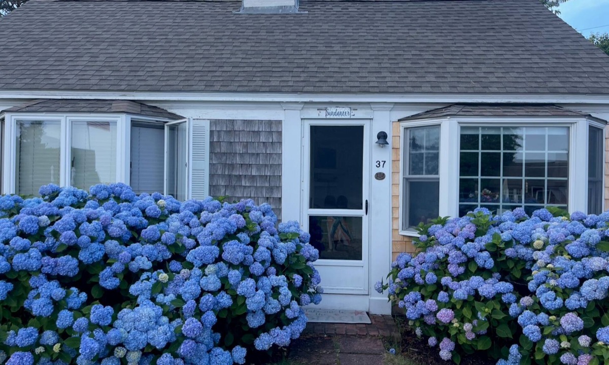 South Yarmouth Cottage | Sundancer – Where Cape Dreams Meet the Sea