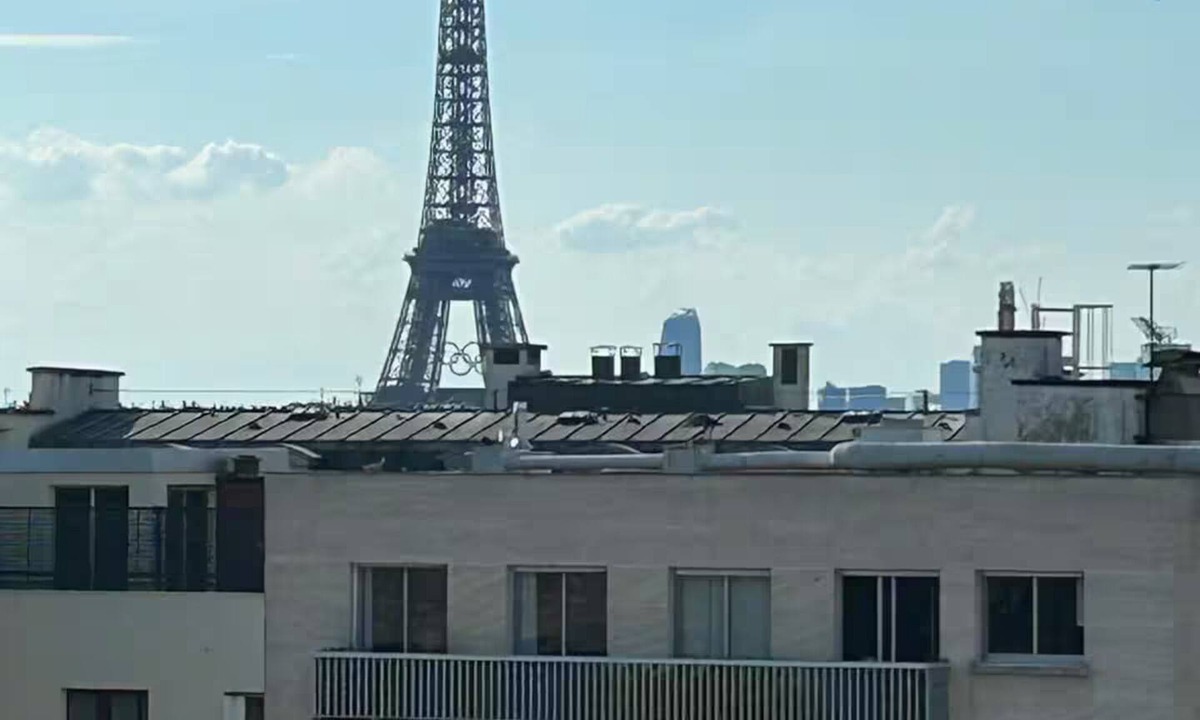 Notre-Dame-des-Champs Apartment | Top floor Saint Germain Terrace Apartmrent