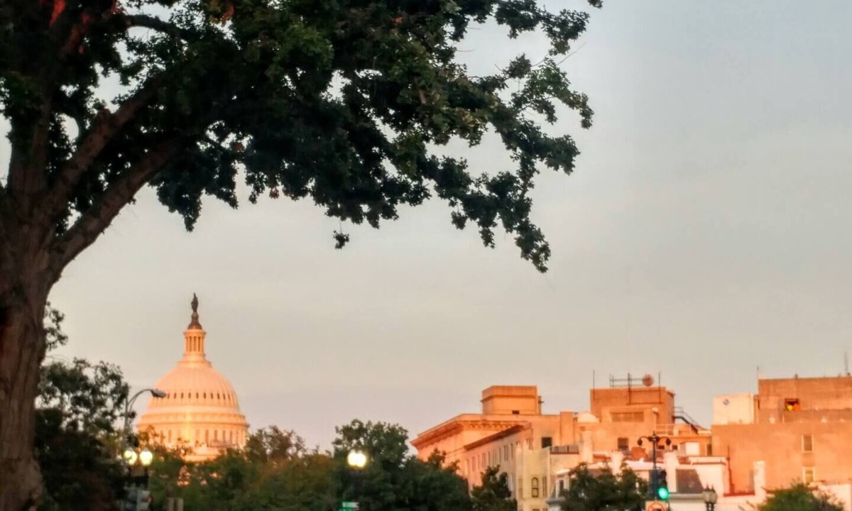 Capitol Hill Apartment | Top Two Floors - Vet Owned - 3 blocks to Capitol