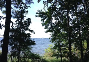 Tentrr State Park Site - Louisiana South Toledo Bend State Park - Site E - Sing
