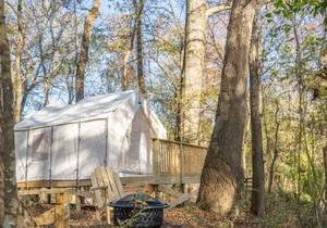 Tentrr State Park Site - Mississippi LeFleur's Bluff State Park - By the Bayou D