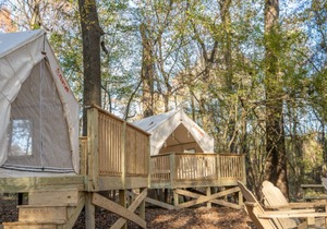 Tentrr State Park Site - Mississippi LeFleur's Bluff State Park - By the Bayou E