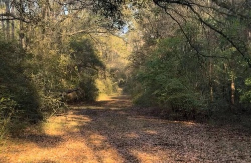Laurel Hill RV Rental | 29 acre private campground in soothing Laurel Hill perfect for adventure