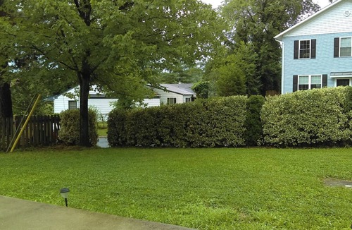 Falls Church House | 3 Bdrm Aloha home Falls Church