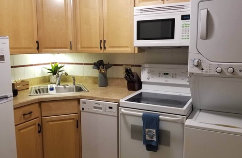 Chiltonville Apartment | Amazing Studio-7 min walk to BID Hosp 15 min to D-town w/W/D, DW MW Jacuzzi tub