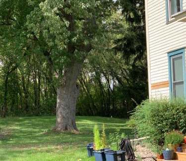 Ripon House | Athelney House Farm Retreat Center