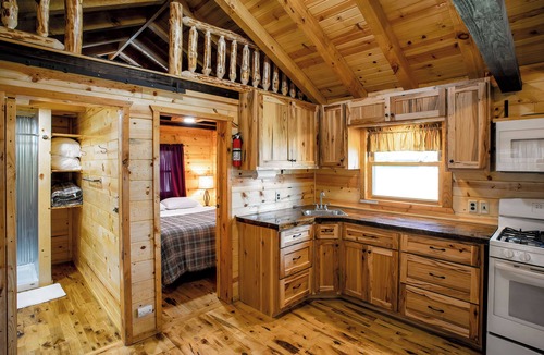 Buffalo City Cabin | Badger Cabin #7 w/Lofts, Fireplace & WiFi