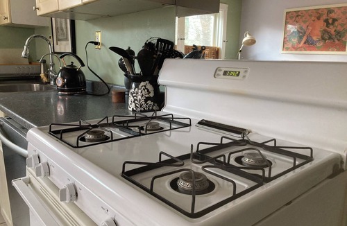 Roxbury Apartment | Beautiful, Budget-Friendly Apt. l Steps to Free Buses and Minutes to Downtown