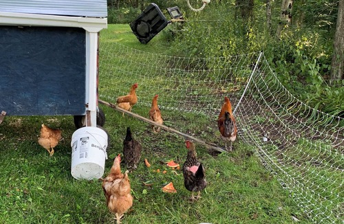 West Stockbridge House | Berkshires Barn Stay on Working Homestead