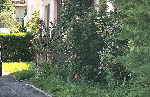 Coubron Apartment | Bright studio apartment near the forest in a secure residence Pets welcome