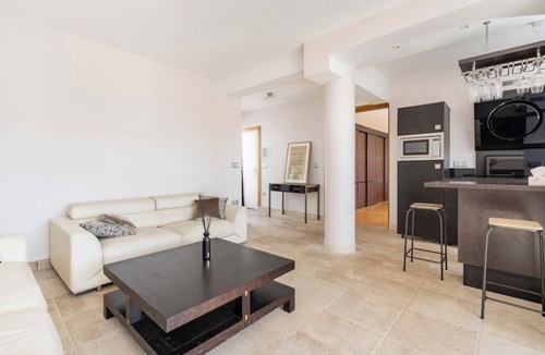 Chaillot Apartment | Champs Elysees Luxury Penthouse Eiffel View Jacuzzi New AC