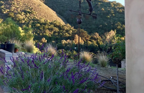 San Luis Obispo Cottage | Charming Spanish Style Casita 2 minutes from Cal Poly