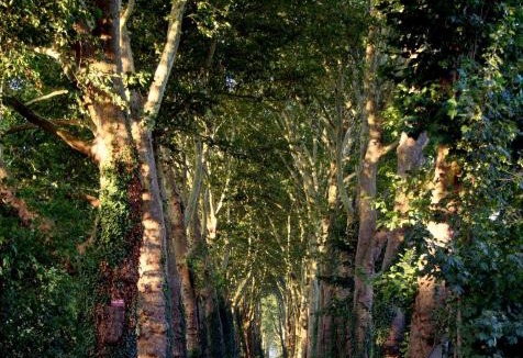 Chevrieres Bed & Breakfast | Chateau le Quesnoy