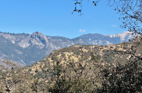 Three Rivers Cabin | Contemporarycabin inthe wilderness ofSequoiaNP Great stargazing.Pets Kiddos Free