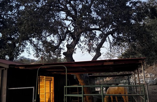 Three Rivers Cabin | Contemporarycabin inthe wilderness ofSequoiaNP Great stargazing.Pets Kiddos Free