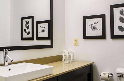 Sterling Hotel | Country Inn & Suites by Radisson, Washington Dulles International Airport, VA