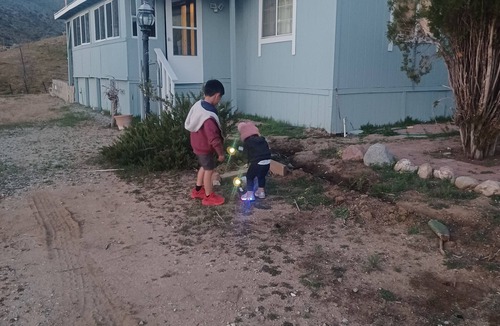 Mojave Other | Country Life