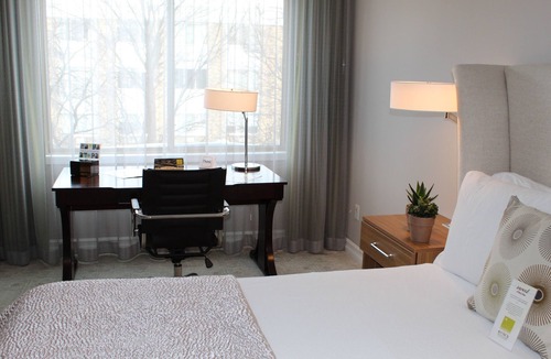 Edina Hotel | Cozy 1-bed hotel room in Minneapolis boutique hotel