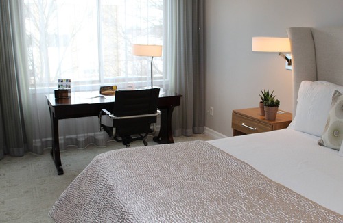 Edina Hotel | Cozy 1-bed hotel room in Minneapolis boutique hotel