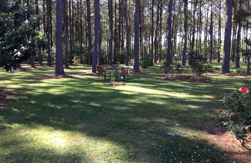 Perkinston Cottage | Cozy 1-bedroom cottage in beautiful Perkinston located on a peaceful farm.