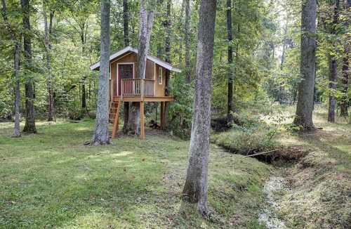 Round Hill Cottage | Cozy and Beautiful Wine Country Cottage! w/Fireplace, Pond, treehouse and more!