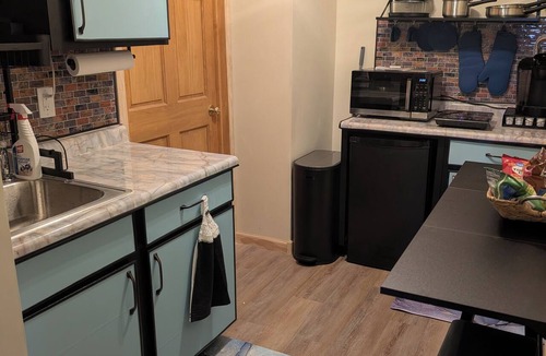 Savage Apartment | Cozy basement apartment, lake view, big movie screen, doggos okay