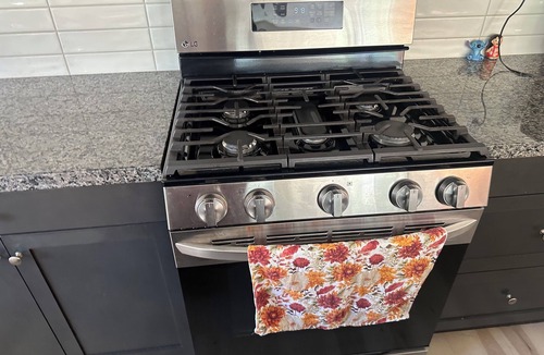 Winchester House | Cozy Home Backyard Perfect for Family-Friendly Home Near Colleges