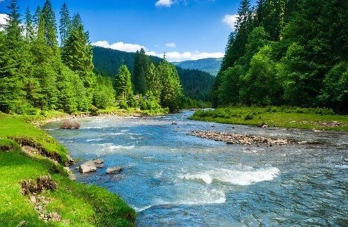 Colfax Condo | Discover Lakes, Rivers, Tahoe National Forest