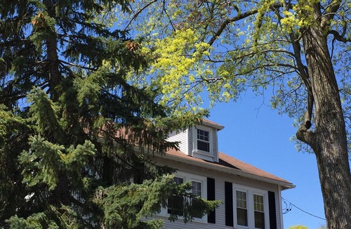 West Roxbury Apartment | European style 3 Bed/2 Bath close to all (20 min to Back Bay/Copley Sq.)